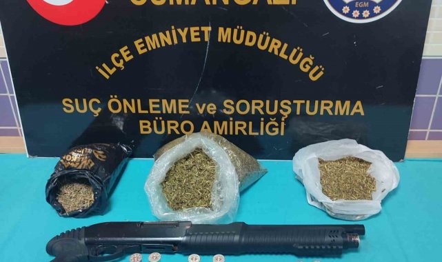 Bursa'da 1 kilo 437 gram bonzai yakalandı