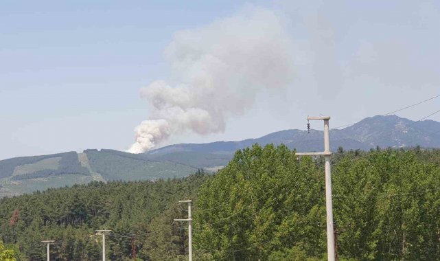 Bursa'da orman yangını...Uçaklar ve helikopterler sevk edildi