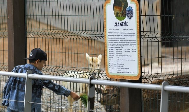 Büyükşehir Hayvanat Bahçesi, Kurban Bayramı'nda ücretsiz