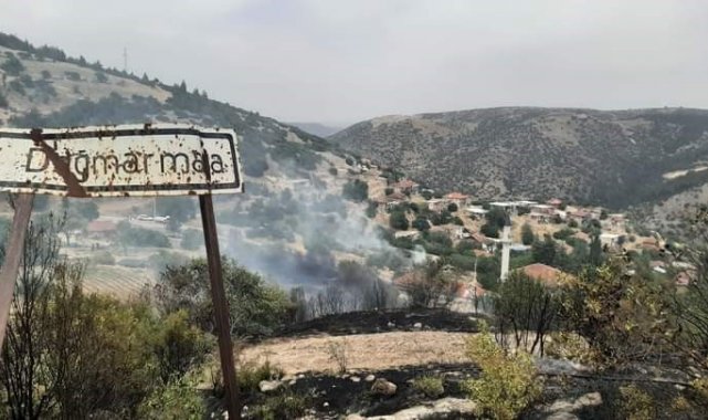 Çal'daki orman yangını kontrol altına alındı