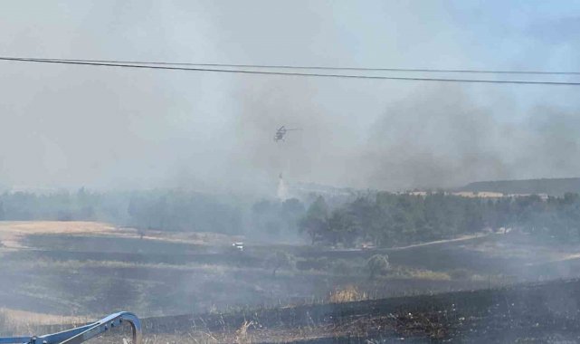 Çanakkale'de 5 dönüm orman, 11 dönüm tarım arazisi zarar gördü