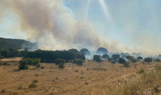 Çanakkale'de alevlerin tehdit ettiği köy boşaltıldı