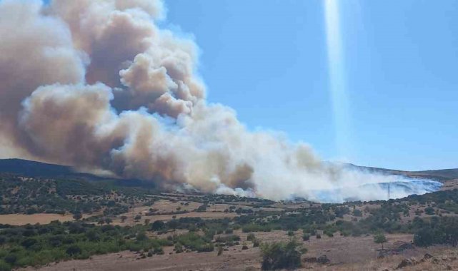 Çanakkale'de çöplükte başlayan yangın ormanlık alana sıçradı