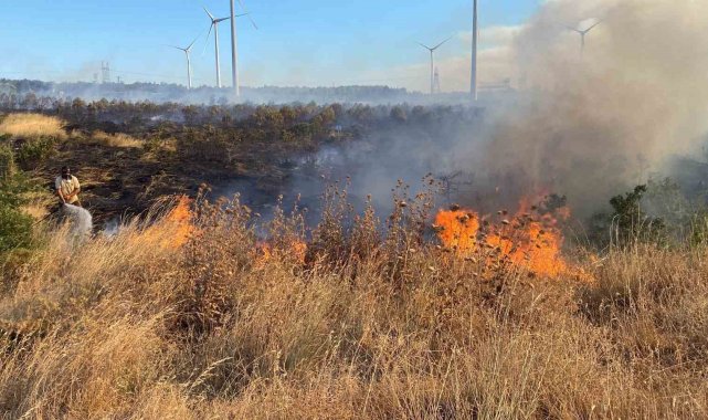 Çanakkale'de tarım arazisinde çıkan yangın ormanlık alana sıçradı