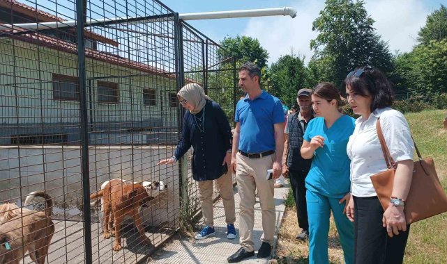 CHP heyetinden hayvan konukevine tam not