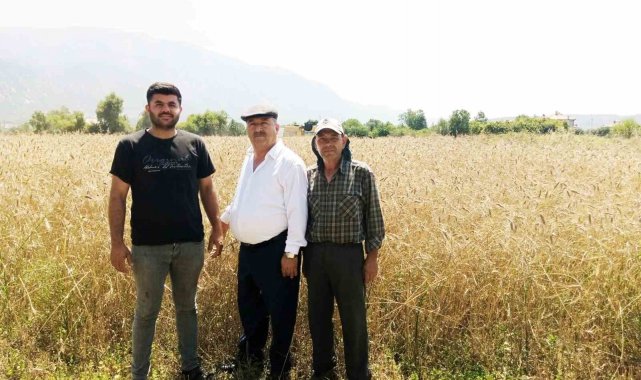 Çiftçi buğday fiyatlarının açıklanmasını bekliyor