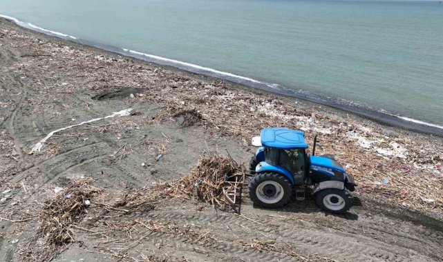 Deniz kaplumbağaların üreme merkezinde hummalı temizlik