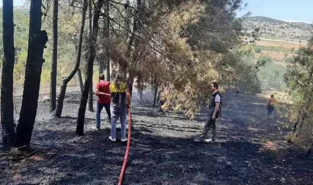 Denizli'de orman yangını kısa sürede kontrol altına alındı