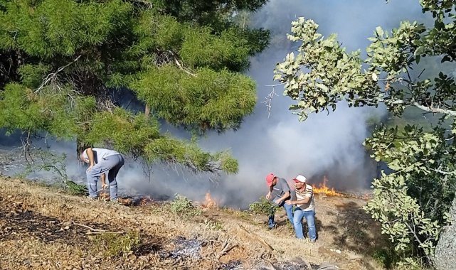 Denizli'de orman yangını