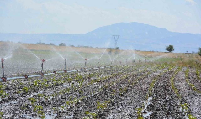 Denizli'de tarımsal sulama ile ülke ekonomisine 10 milyar TL katkı sağlanacak