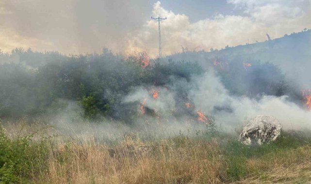 Denizli'de üç noktada orman yangını çıktı