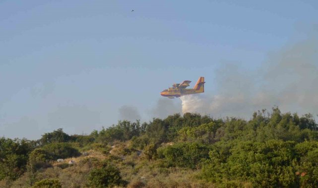 Didim'deki yangında 50 dekar alan zarar gördü
