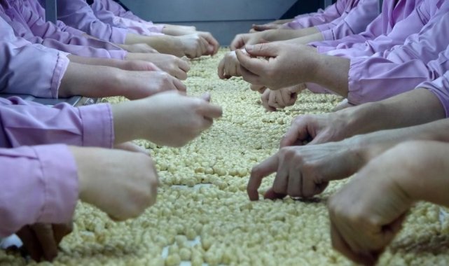 Düzce'de 5 bin 611 ton fındık ihraç edildi