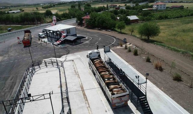 Elazığ'da usulsüz hayvan sevkiyatına 2 milyon 300 bin lira ceza