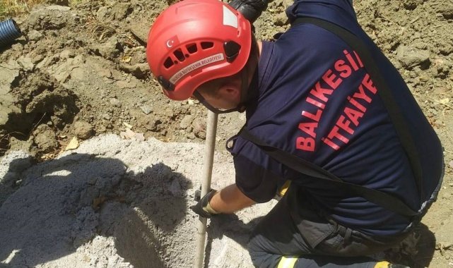 Erdek'te çukura düşen yavru domuzun imdadına itfaiye yetişti