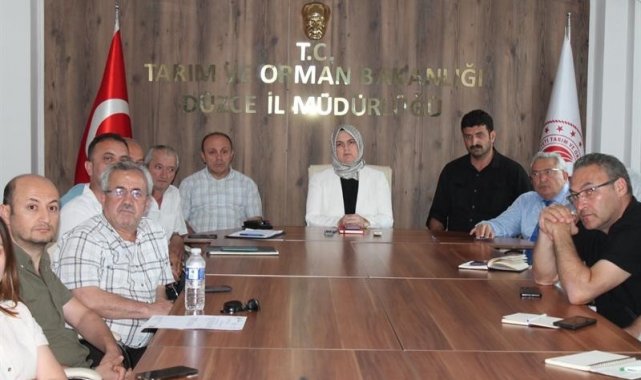 Fındık rekolte tespit komisyonu toplandı