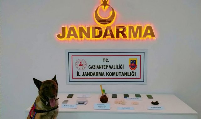 Gaziantep jandarmadan 2 ayda 823 şüpheliye gözaltı