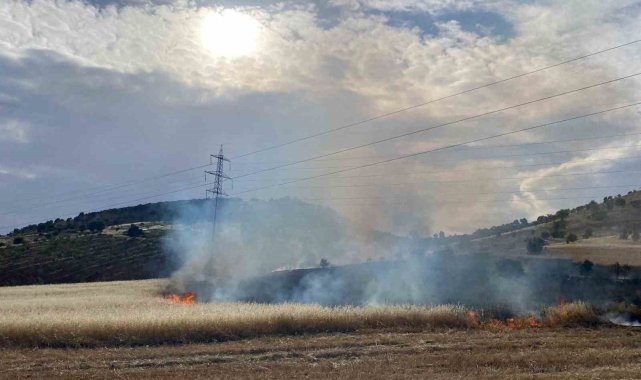 Gölbaşı ilçesinde arpa tarlası yandı