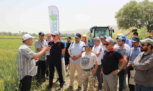 İnönü ilçesindeki Tarla Günü'nde 12 buğday çeşidi tanıtıldı