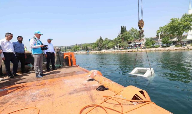 İzmit Körfezi'nde balıkçılığı desteklemek için önemli proje