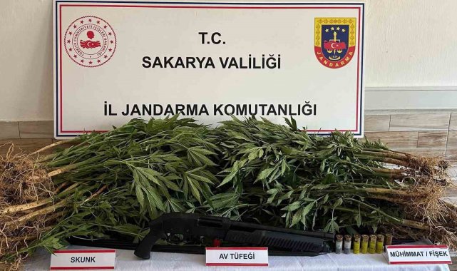 Jandarma uyuşturucuya geçit vermiyor: 5 gözaltı