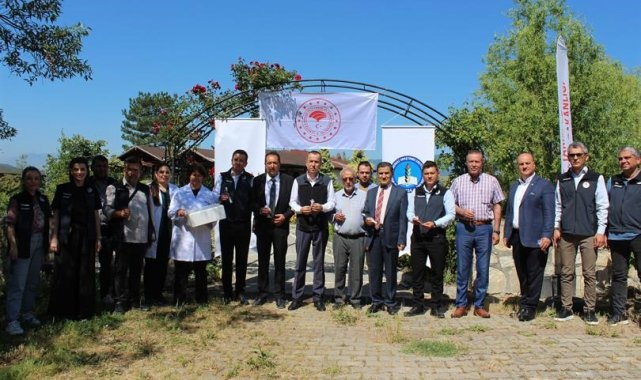 Kahverengi Kokarca böceği ile mücadele