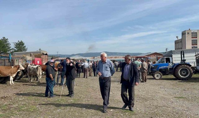 Kastamonu'da hayvan pazarında Kurban Bayramı öncesinde hareketlilik