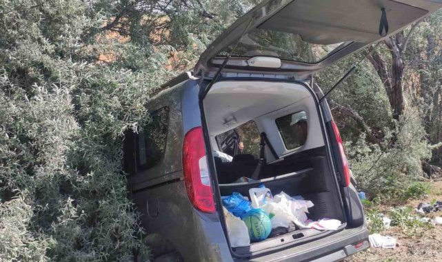 Konya'da hafif ticari araç ağaçlara çarptı: 4 yaralı
