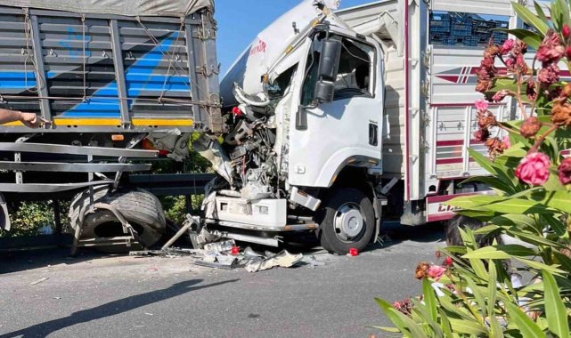 Köyceğiz'de feci kaza: 2 ölü