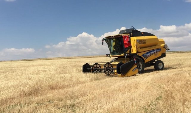 Kulu'da tarım alanlarında hasat başladı
