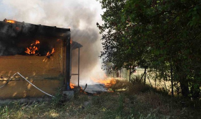 Kümes alev alev yandı: 20 bin adet canlı civciv telef oldu