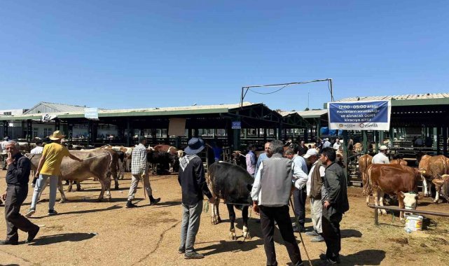 Kurbanlık keçisini dolandırıcılara kaptıran yetiştiricinin imdadına polis yetişti
