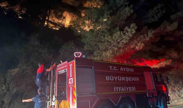 Kuyucak'ta zirai alan yangını