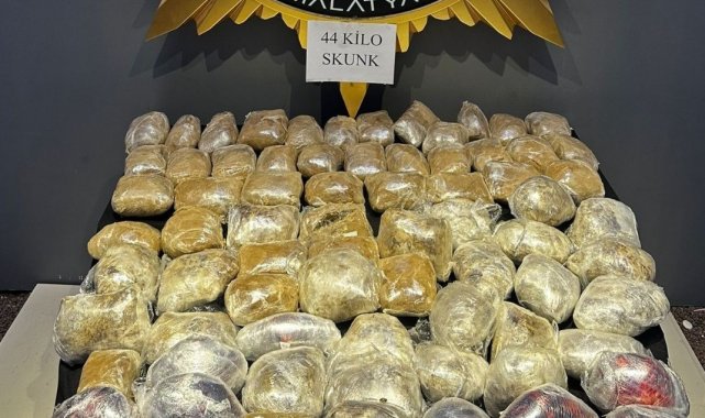 Malatya'da 44 kilogram skunk ele geçirildi
