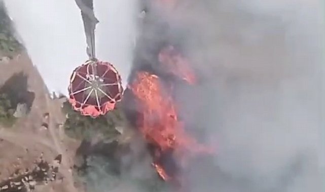 Manisa'da ormanlık alanda yangın