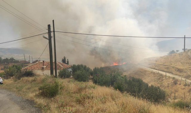 Manisa'da zirai alanda yangın