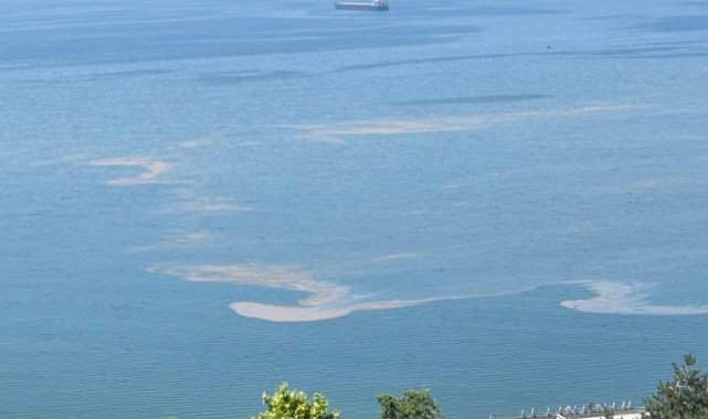 Marmara Denizi'nde müsilaj endişesi
