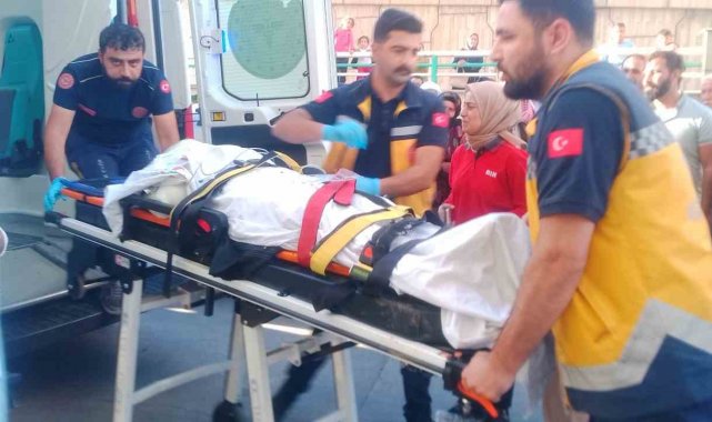 Mercimek biçme makinesi yüksek gerilim hattına temas etti: 2 ölü, 3 ağır yaralı