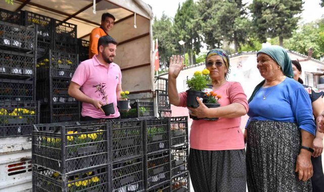 Mersin'de sivrisinek ve haşere ile bitkisel mücadele