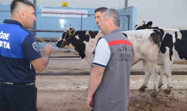 Niğde'de kurbanlık hayvan satış yerleri denetleniyor