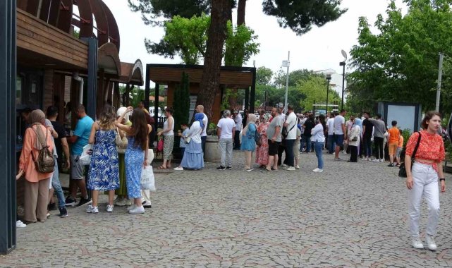 Ordu'da teleferik yoğunluğu