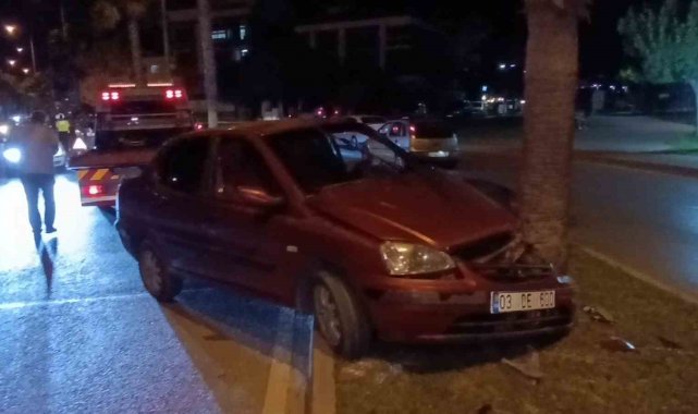 Palmiye ağacına çarpan 80 yaşındaki sürücü yaralandı