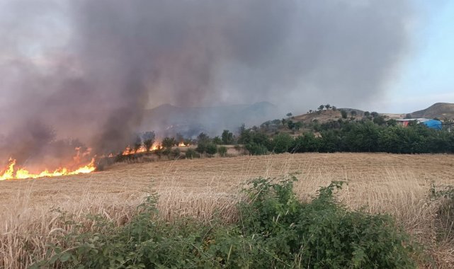 Saman yangınında hayvanlar tahliye edildi