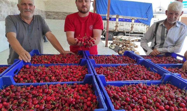Selendili kiraz üreticileri umduğunu bulamadı