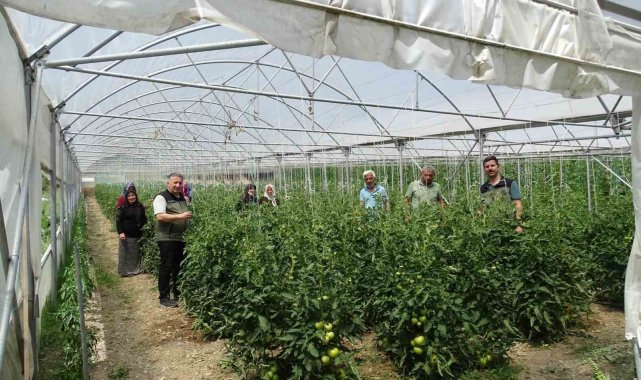 Seralardan ilk ürünler alınmaya başladı