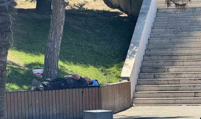 Sıcaktan bunalan gölgelik alanlara sığındı