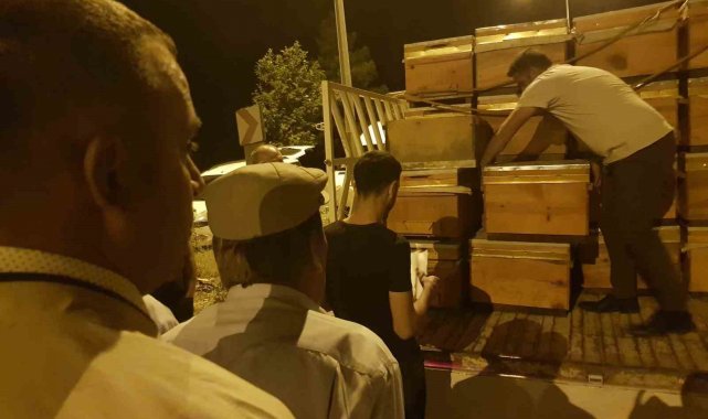 Siirt'te 2 bin adet arılı kovan dağıtıldı