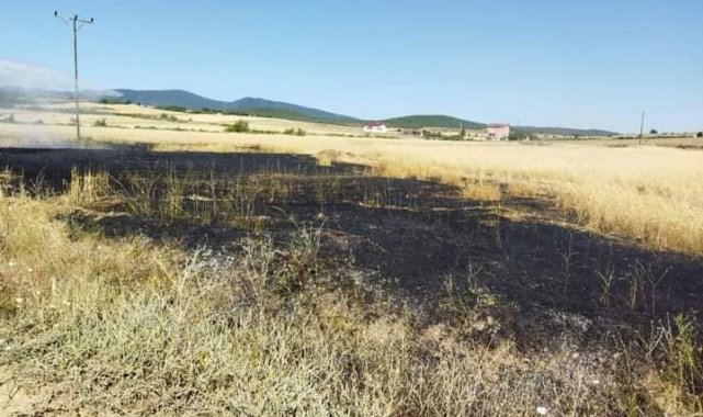 Sinop'ta buğday tarlasında yangın