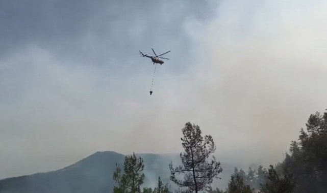 Sinop'taki orman yangını