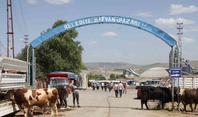 Sivas Kurban pazarı esnafı dertli